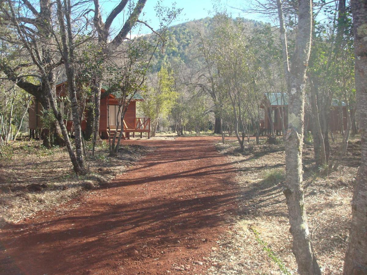 Cabanas Roble Quemado Лас Транкас Стая снимка