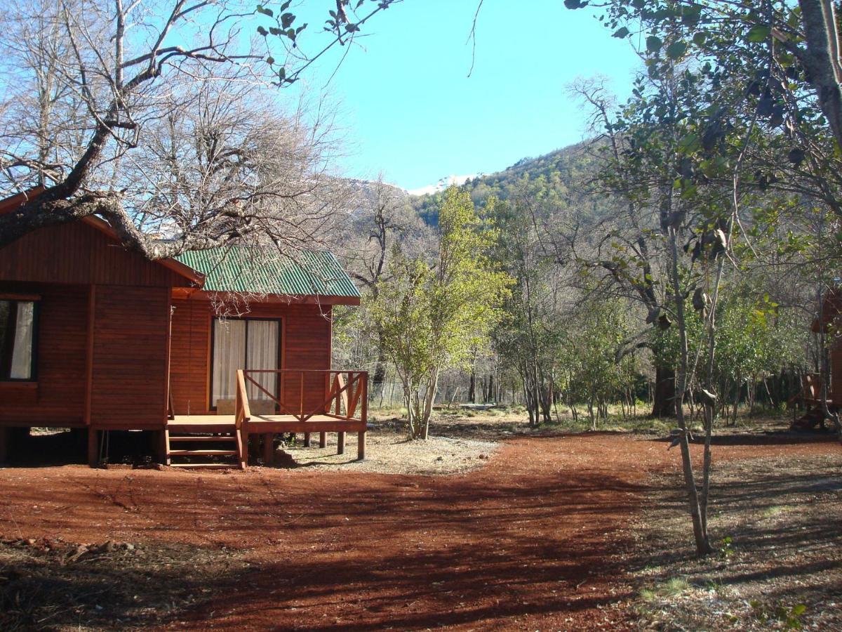 Cabanas Roble Quemado Лас Транкас Стая снимка